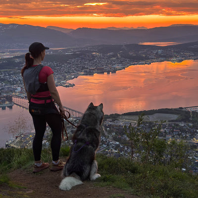 MEGIN Multisport Custom