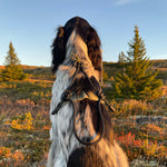 MEGIN Harness Field Edition