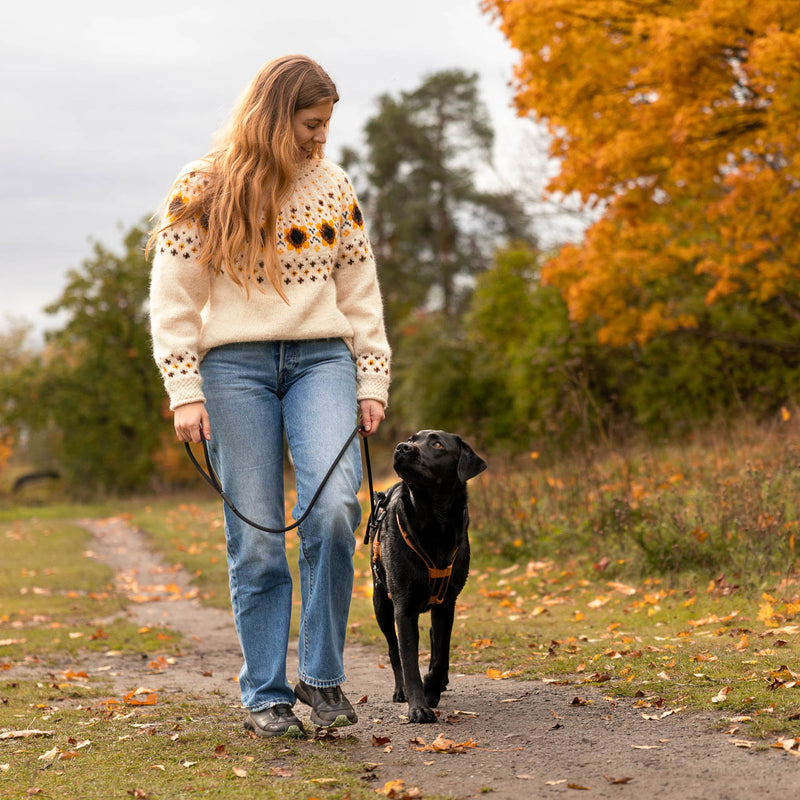 MEGIN Harness Trail edition