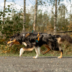 MEGIN Harness Trail edition