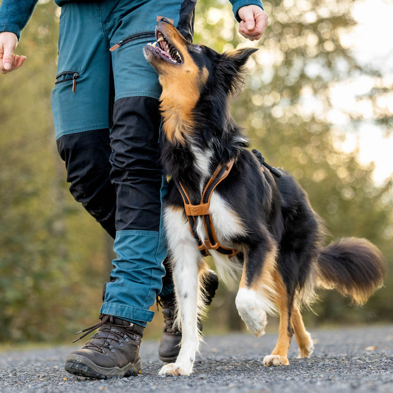 MEGIN Harness Trail edition