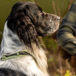 MEGIN Harness Field Edition