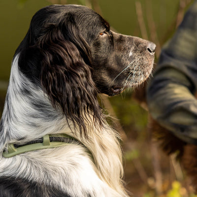 MEGIN Harness Field Edition