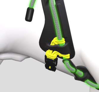 2. Se endringene live