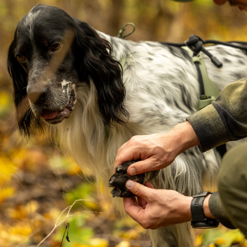 Trine Ultimate Paw Wax Stick – Winter Protection for Dog Paw Pads