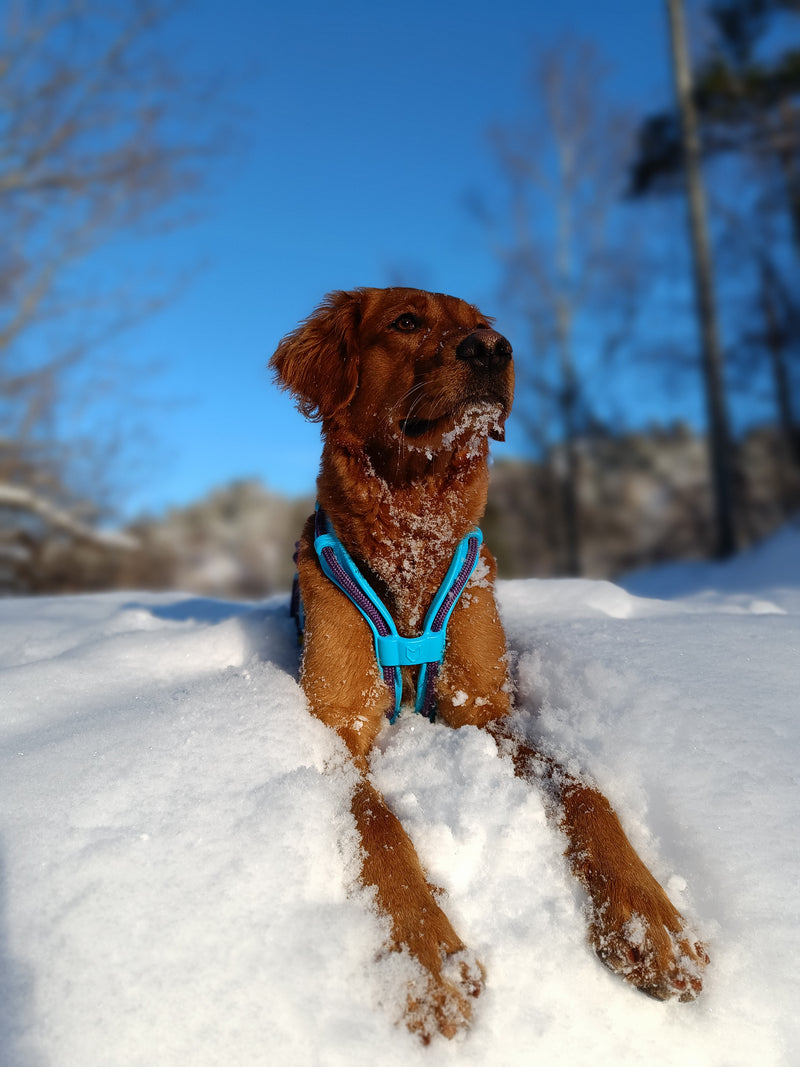 Trykkstøpte paneler