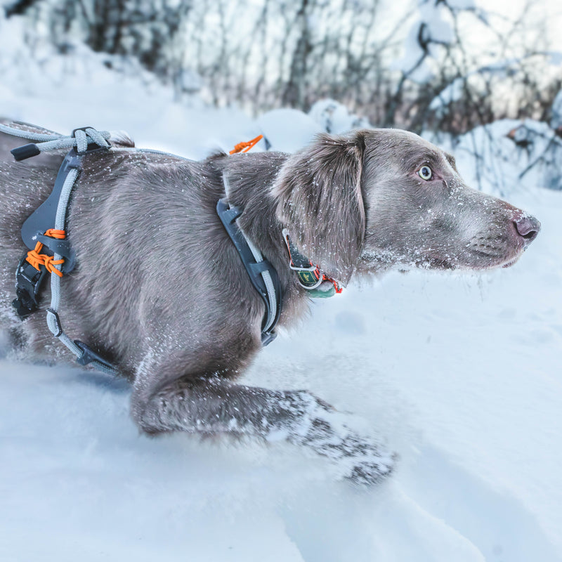 MEGIN Multisport Custom